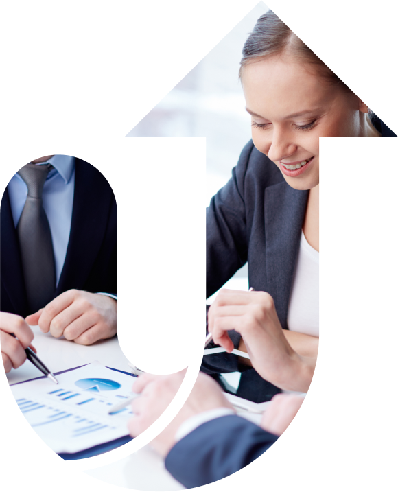 Business professionals working together